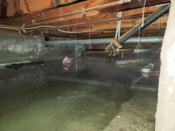 Best Water damage restoration process  in Perry Heights, OH