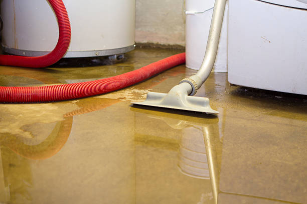 Best Sewage cleanup and water damage restoration  in Perry Heights, OH