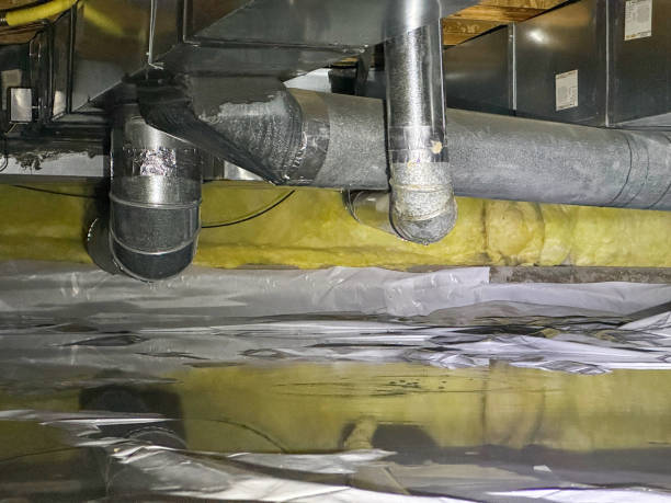 Best Mold removal after water damage  in Perry Heights, OH
