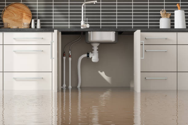 Best Commercial water damage restoration  in Perry Heights, OH